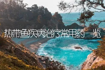 热带鱼疾病治疗常用药一览