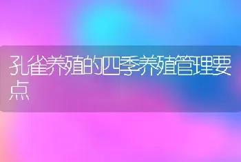 孔雀养殖的四季养殖管理要点