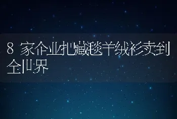 8家企业把藏毯羊绒衫卖到全世界