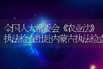 全国人大常委会《农业法》执法检查组赴内蒙古执法检查