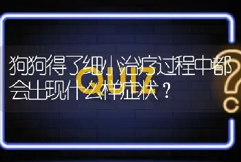 狗狗得了细小治疗过程中都会出现什么样症状？