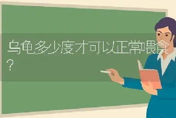 乌龟多少度才可以正常喂食？