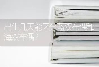 出生几天能区分蓝双布偶和海双布偶？