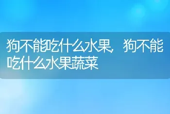 狗不能吃什么水果，狗不能吃什么水果蔬菜