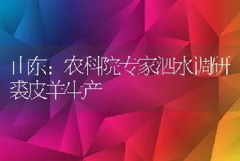 山东：农科院专家泗水调研裘皮羊生产