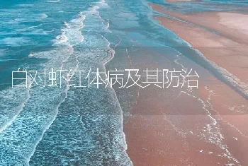 白对虾红体病及其防治