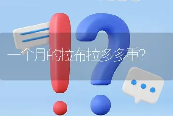 一个月的拉布拉多多重？