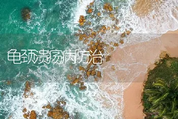 龟颈溃疡病防治