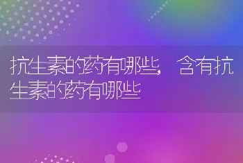 抗生素的药有哪些，含有抗生素的药有哪些