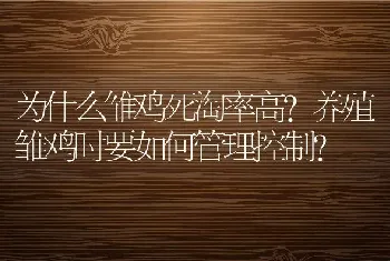 为什么雏鸡死淘率高？养殖雏鸡时要如何管理控制？