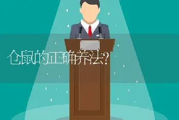 中华田园猫养公的还是母的？