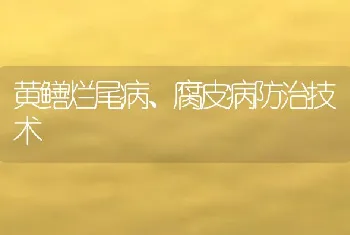 黄鳝烂尾病、腐皮病防治技术