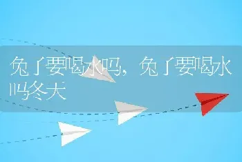 兔子要喝水吗，兔子要喝水吗冬天