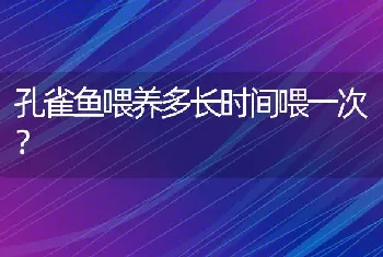 孔雀鱼喂养多长时间喂一次？