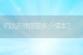 初次养鹿需要多少成本？