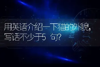 用英语介绍一下猫的外貌，写话不少于5句？