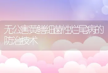 无公害黄鳝细菌性烂尾病的防治技术