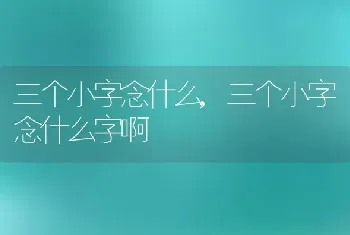 三个小字念什么，三个小字念什么字啊