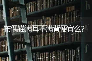 我家刚养了一只刚出生的白色小博美狗，母的，各位帮忙起个好听又不落俗套的名字吧！拜托了？