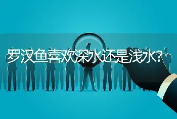 罗汉鱼喜欢深水还是浅水？