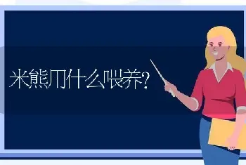 米熊用什么喂养？