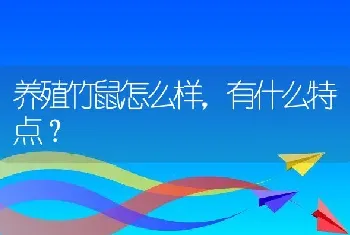 养殖竹鼠怎么样，有什么特点？