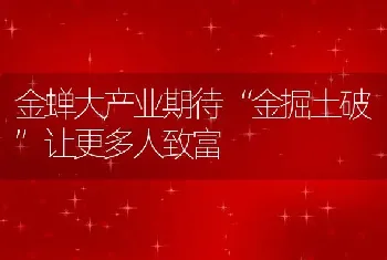 金蝉大产业期待“金掘土破”让更多人致富