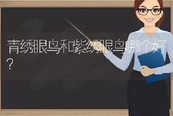 青绣眼鸟和紫绣眼鸟哪个好？