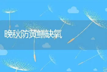 晚秋防黄鳝缺氧