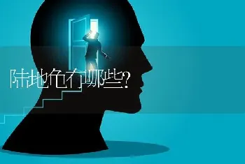 三个月的小拉布拉多该怎么训练它成为听口令的狗狗？