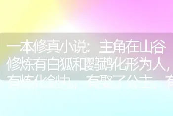 一本修真小说:主角在山谷修炼有白狐和鹦鹉化形为人，有炼化剑丸，有娶了公主，有皇宫除魔？