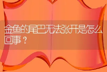 金鱼的尾巴无法张开是怎么回事？