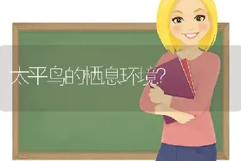 九个月的拉布拉多怎样喂养？