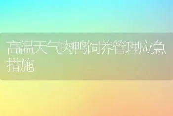 高温天气肉鸭饲养管理应急措施