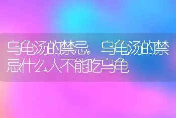 乌龟汤的禁忌，乌龟汤的禁忌什么人不能吃乌龟