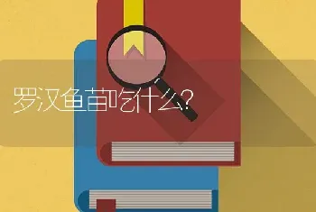 罗汉鱼苗吃什么？