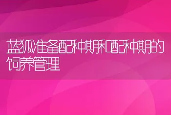 蓝狐准备配种期和配种期的饲养管理