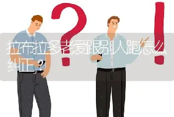 拉布拉多老爱跟别人跑怎么纠正？