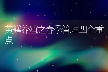 黄鳝养殖之春季管理四个重点