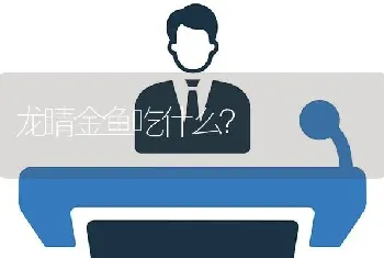 龙睛金鱼吃什么？