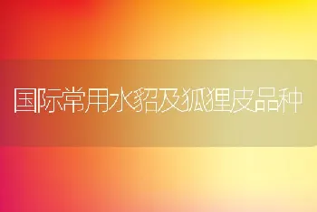 国际常用水貂及狐狸皮品种