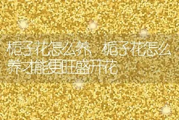 栀子花怎么养，栀子花怎么养才能更旺盛开花