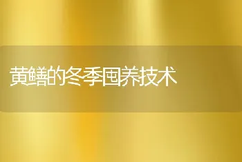 黄鳝的冬季囤养技术