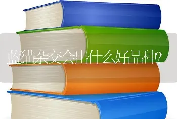 猫的生活习性和繁殖方法？