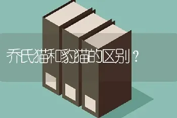 拉布拉多犬的底毛长是纯种的吗？