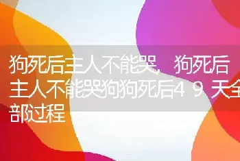 狗死后主人不能哭，狗死后主人不能哭狗狗死后49天全部过程