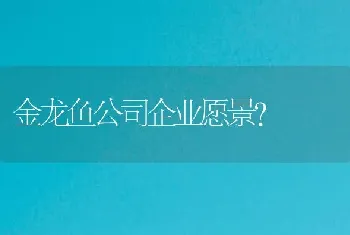 金龙鱼公司企业愿景？