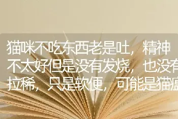 猫咪不吃东西老是吐，精神不太好但是没有发烧，也没有拉稀，只是软便，可能是猫瘟吗？