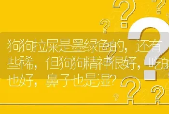 狗爹狗妈都是白色的拉布拉多会下虎斑色的小拉布拉多吗？