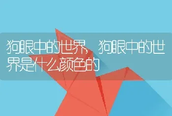 狗眼中的世界，狗眼中的世界是什么颜色的